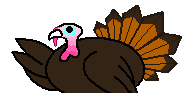That Turkey